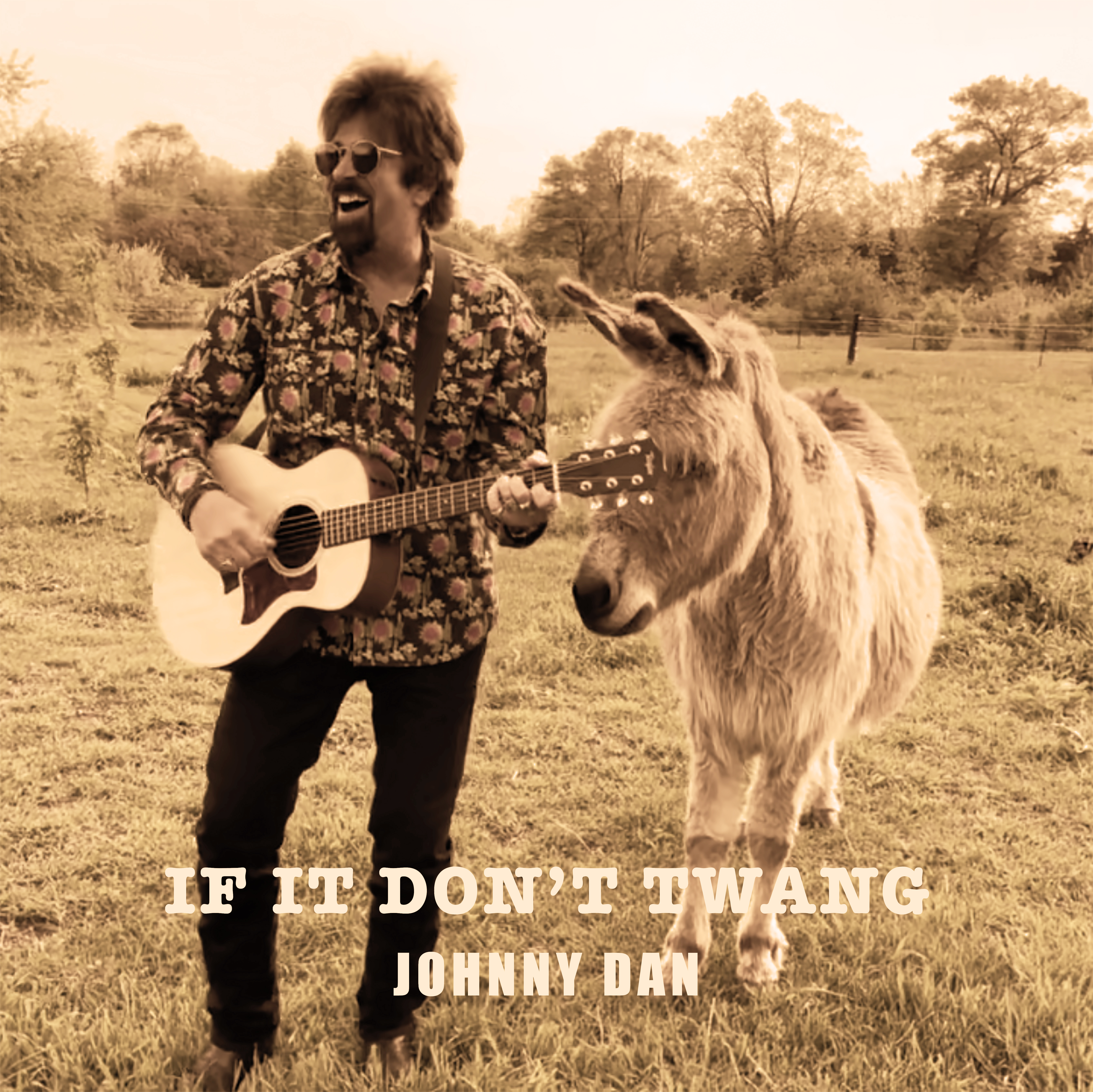 Johnny Dan: If It Don't Twang